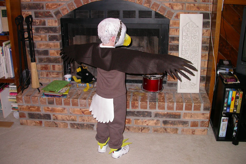 Bald Eagle Costume